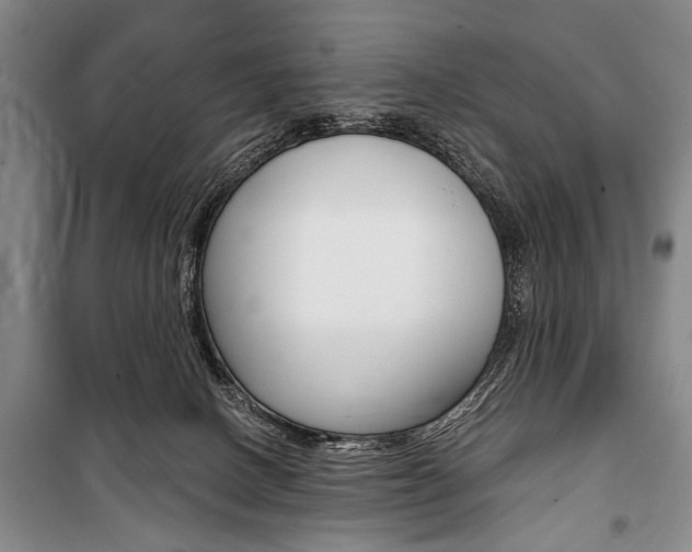 X0000101140082200806270746