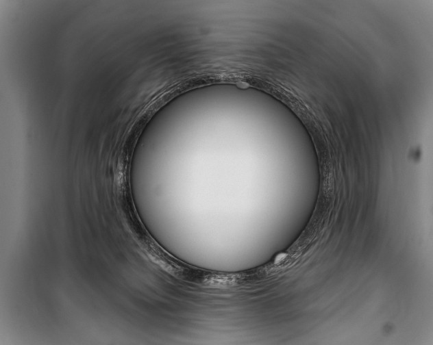 X0000101140084200806270746