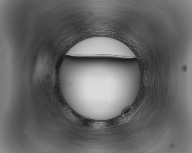 X0000101140085200806270746