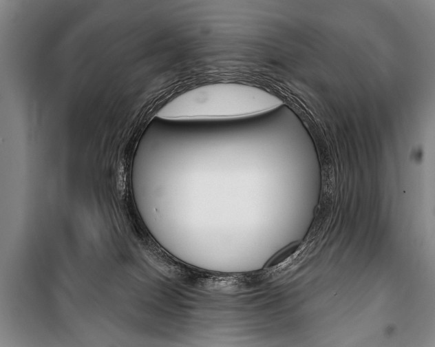 X0000101140086200806270746