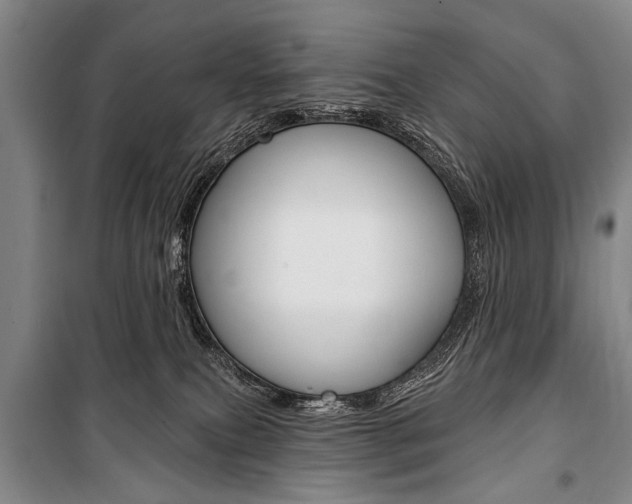 X0000101140087200806270746