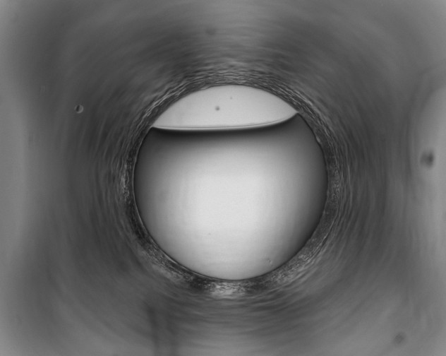 X0000101140088200806270746