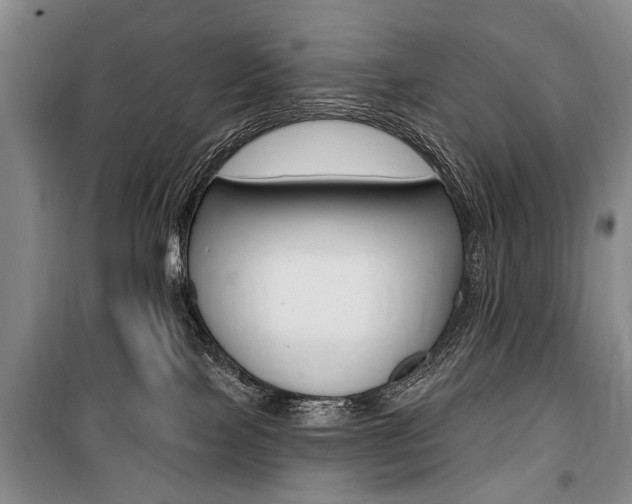 X0000101140089200806270746