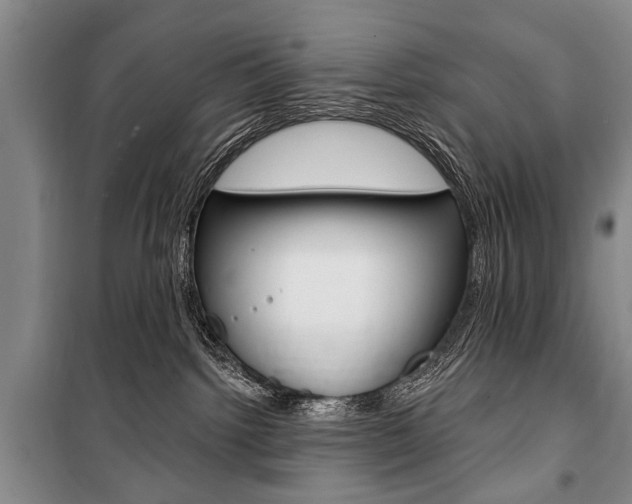 X0000101140092200806270746