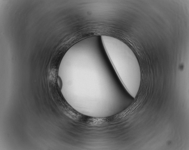 X0000101140093200806270746