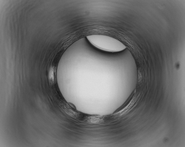 X0000101140094200806270746