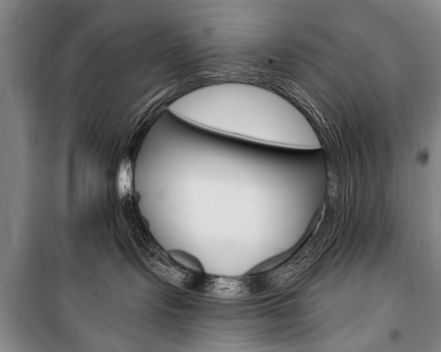 X0000101140095200806270746