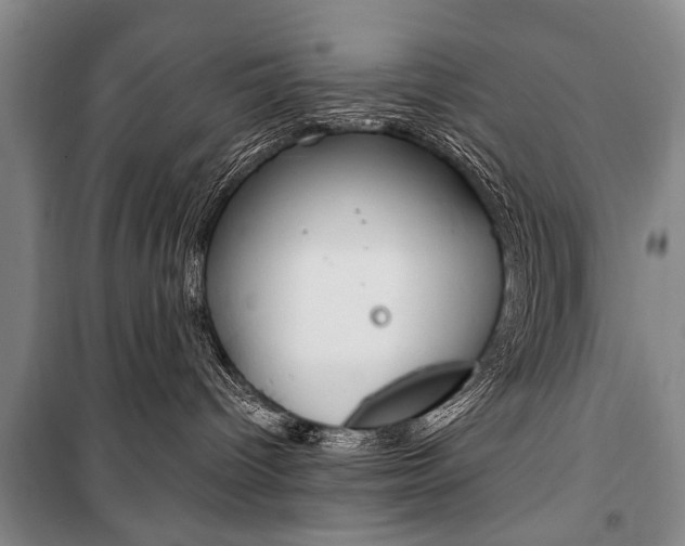 X0000101140096200806270746