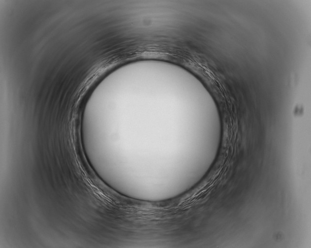 X0000101140098200806270745