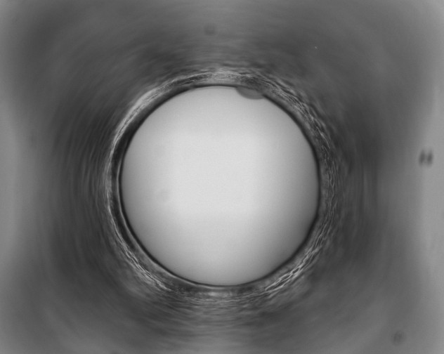 X0000101140102200806270745