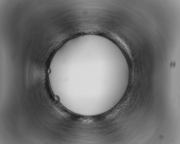 X0000101140113200806270745