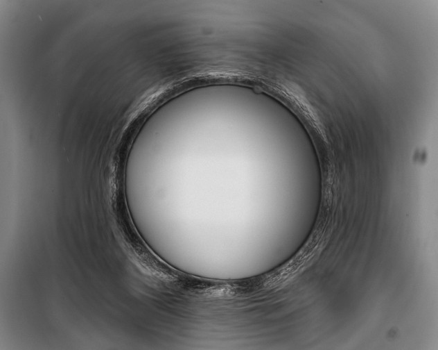 X0000101140116200806270745