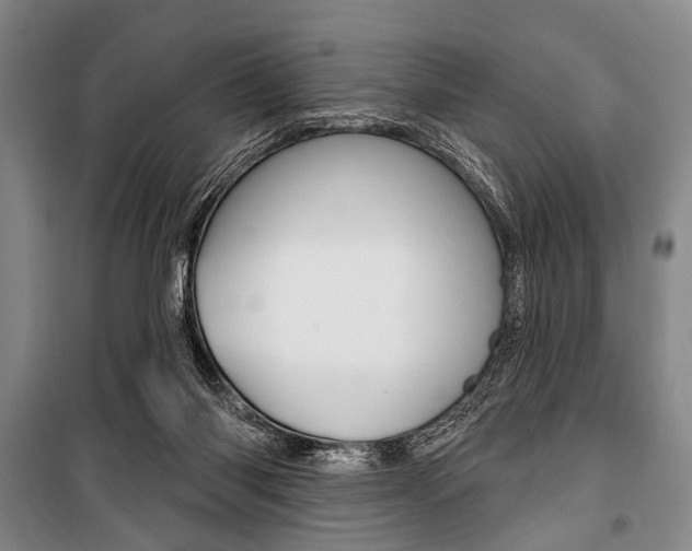 X0000101140118200806270745