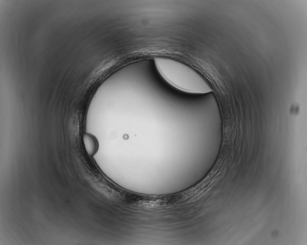 X0000101140120200806270745