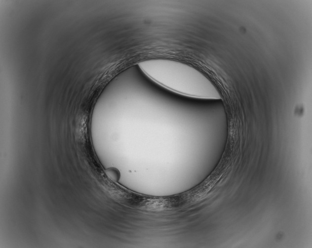 X0000101140127200806270745