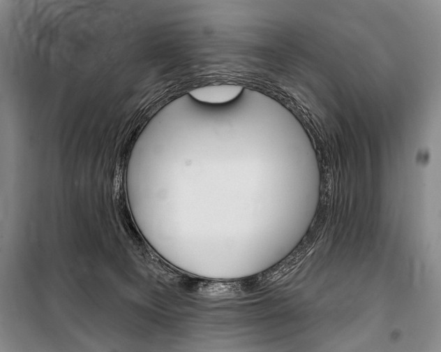 X0000101140129200806270745