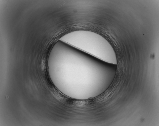 X0000101140131200806270745