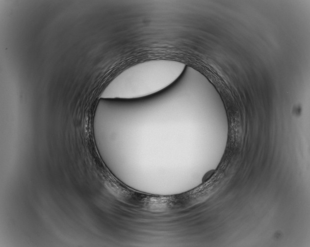 X0000101140134200806270745
