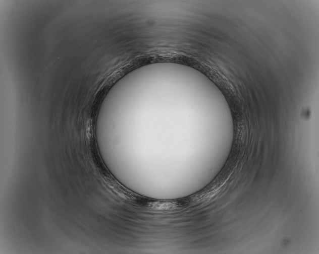 X0000101140135200806270745