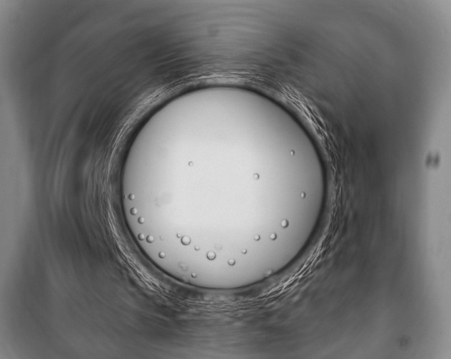 X0000101140145200806270744