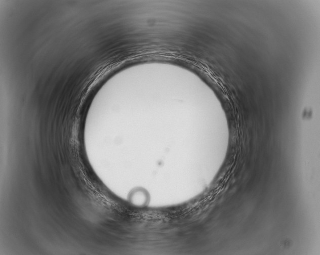 X0000101140146200806270744