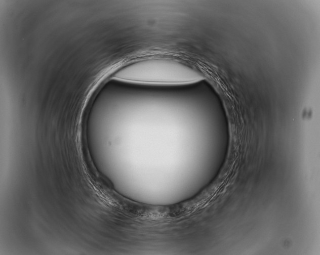 X0000101140148200806270744