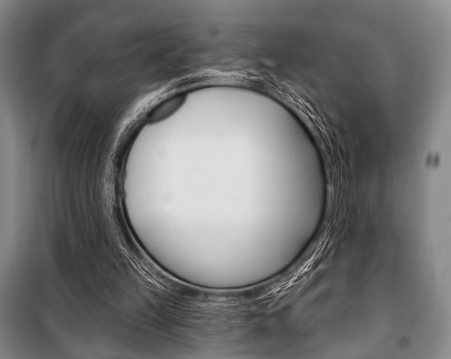 X0000101140149200806270744