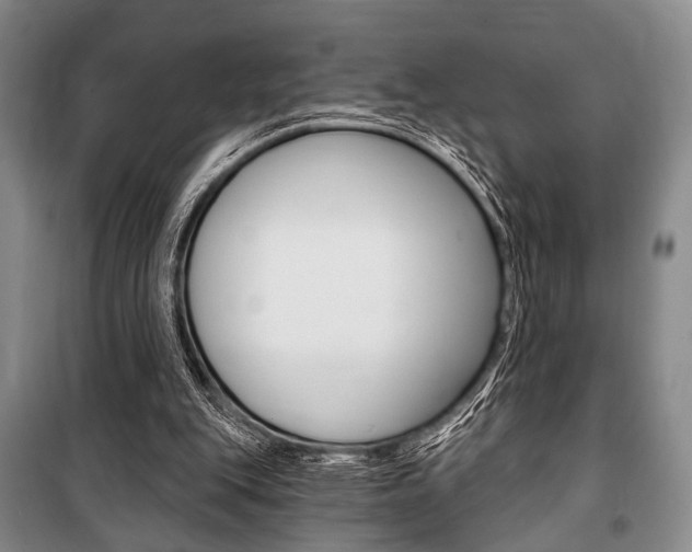 X0000101140151200806270744