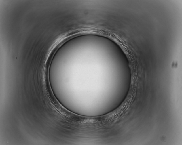 X0000101140152200806270744