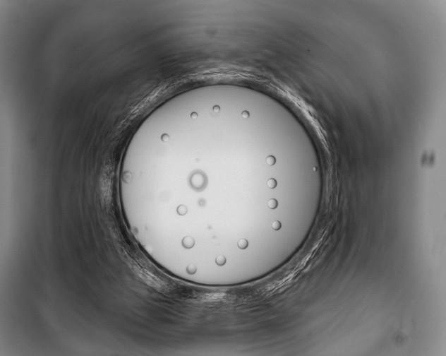 X0000101140153200806270744