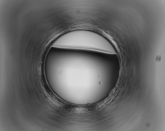 X0000101140154200806270744
