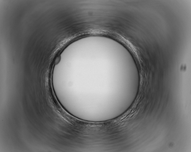 X0000101140155200806270744