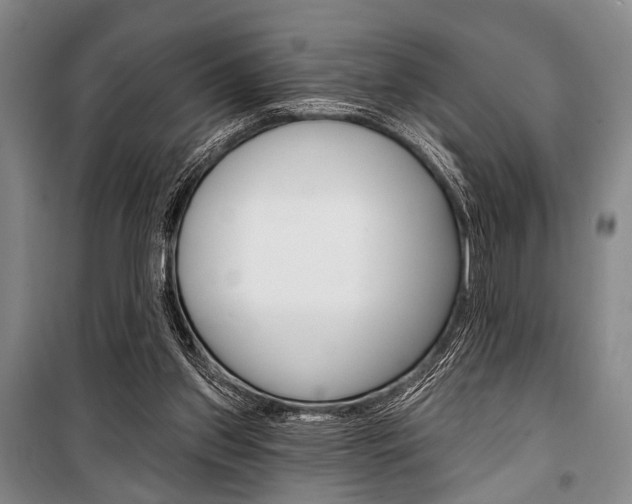X0000101140157200806270744