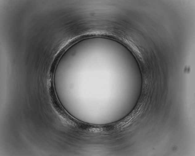 X0000101140160200806270744