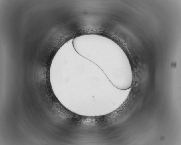X0000101140162200806270744