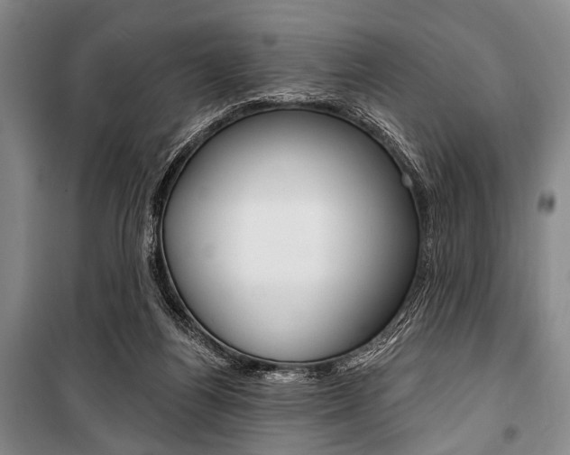 X0000101140164200806270744
