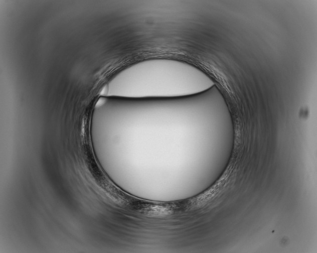 X0000101140166200806270744