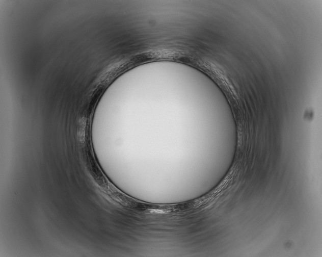 X0000101140167200806270744