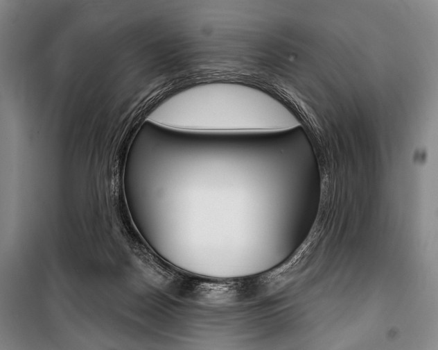 X0000101140170200806270744