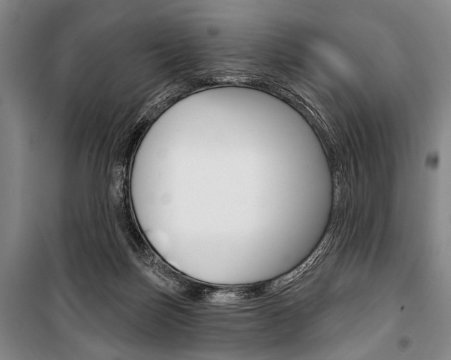 X0000101140171200806270744