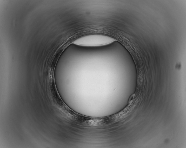 X0000101140172200806270744