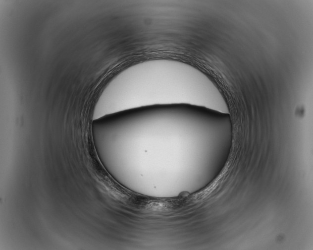 X0000101140174200806270744