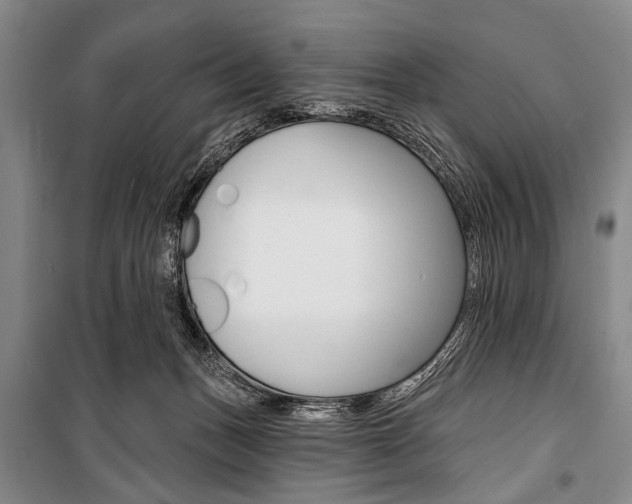 X0000101140175200806270744