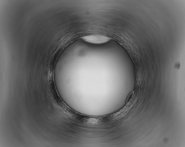 X0000101140176200806270744