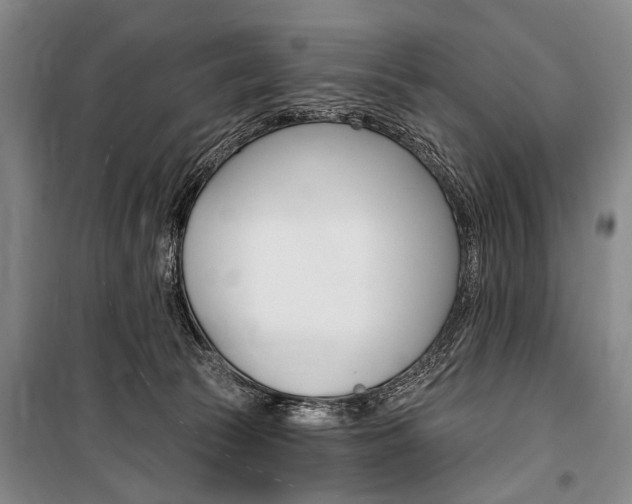X0000101140177200806270744