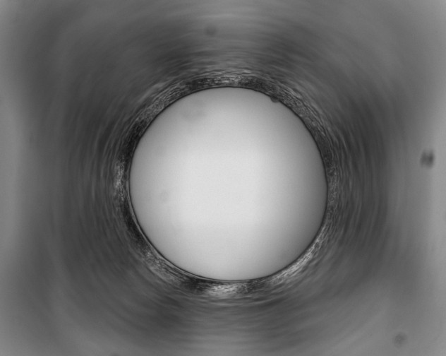 X0000101140178200806270744
