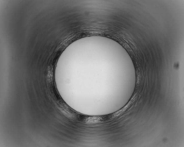 X0000101140179200806270744