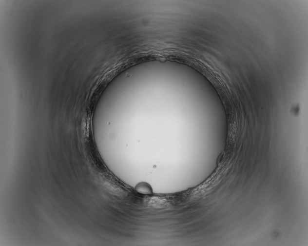 X0000101140180200806270744