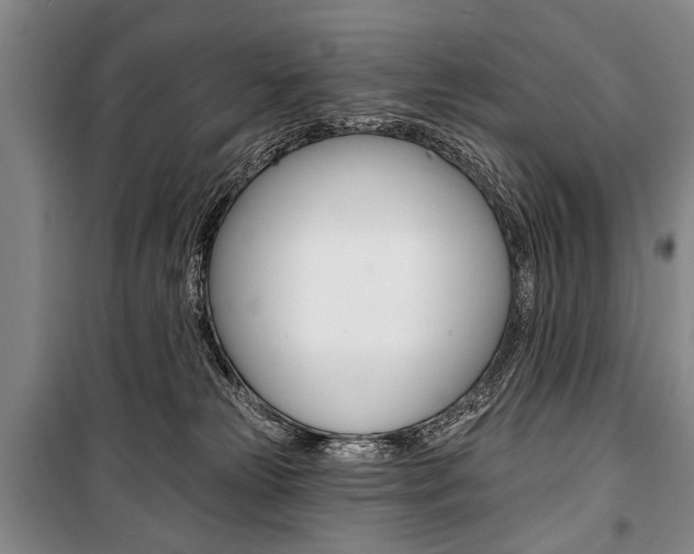 X0000101140181200806270744