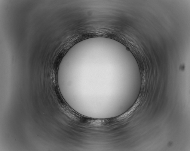 X0000101140182200806270744